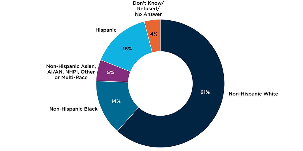 figure 1: . Race and Ethnicity of the Home-Based Workforce