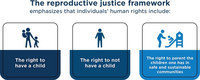 Figure 1 reproductive justice framework