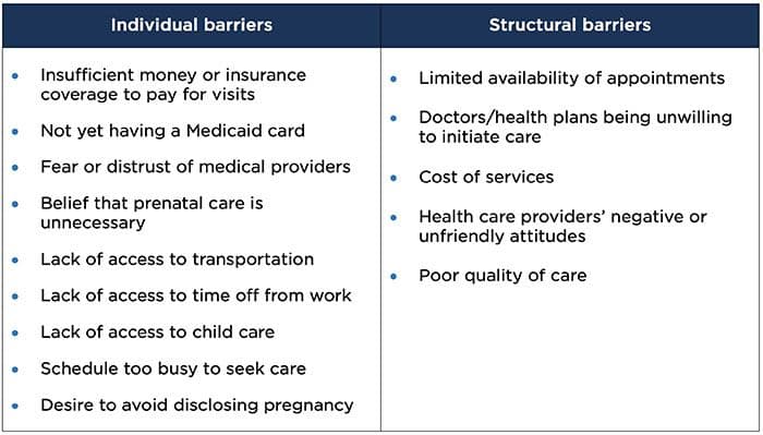 Table 1. Barriers to accessing timely prenatal care