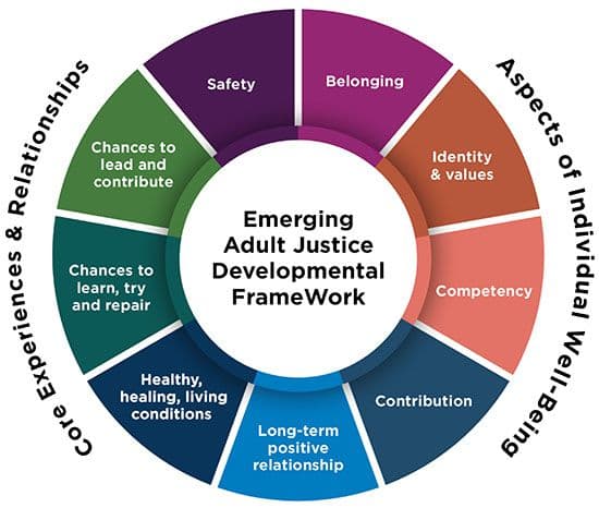 Figure 2: Emerging Adult Justice Developmental Framework